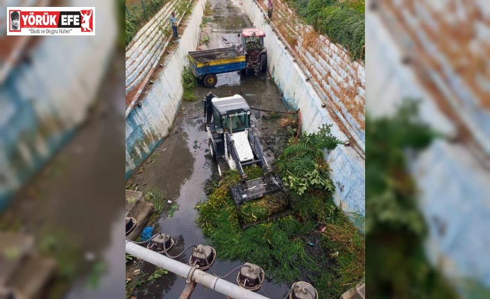 Söke Belediyesi’nden Yenikent Deresi’nde temizlik çalışması