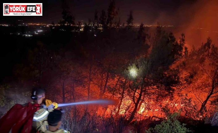 Söke’de alevler geceyi aydınlattı