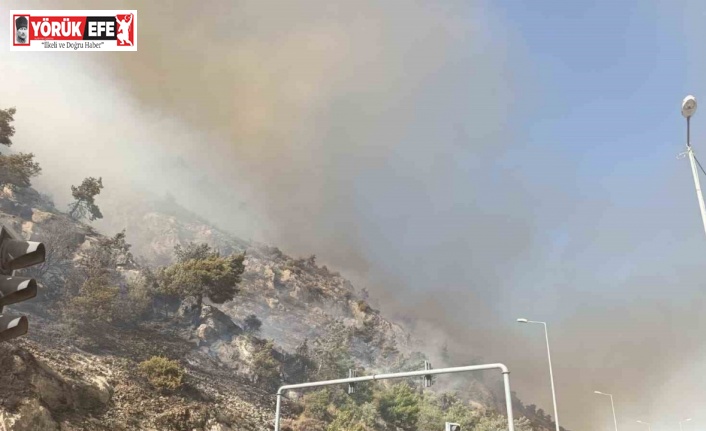 Söke’de makilik alan yangını, söndürme çalışmaları sürüyor