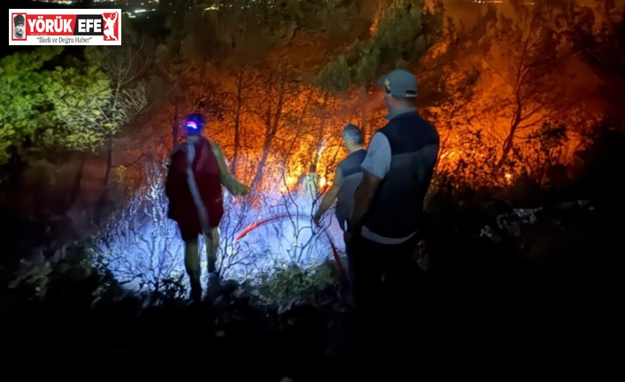 Söke’deki orman yangınının yayılması durduruldu