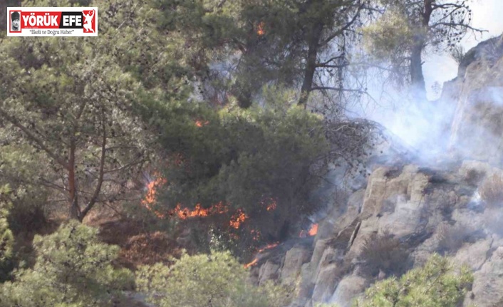 Söke’deki yangın kontrol altına alındı