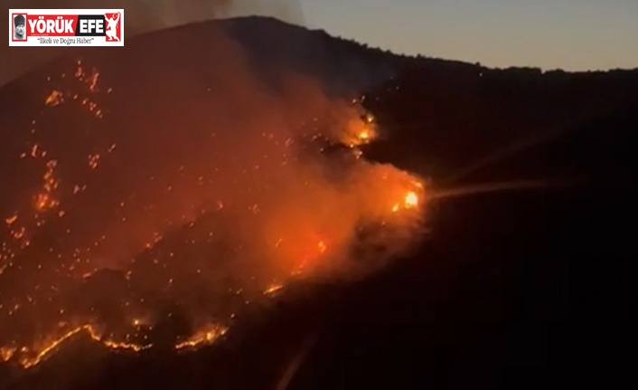 Söke’deki yangını söndürme çalışmaları sürüyor