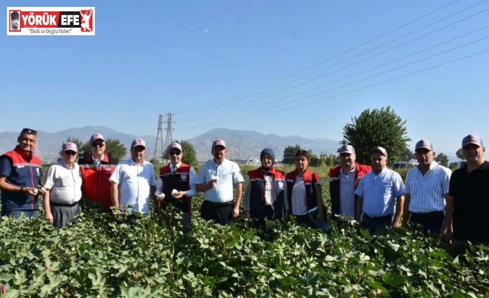 Tarım İl Müdürü Temiz: "Pamuk Aydın için stratejik bir ürün"