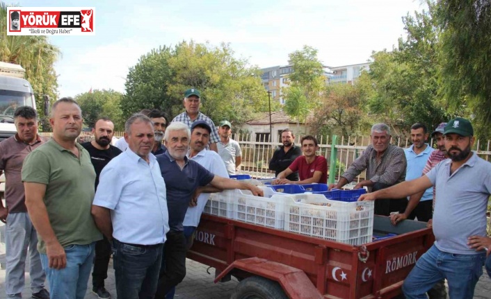 TARİŞ alımları erken kapattı, üretici tüccara tepki gösterdi