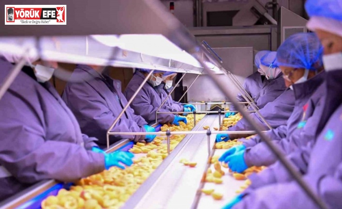 Vali Canbolat, Köşk’te gıda tesisini inceledi