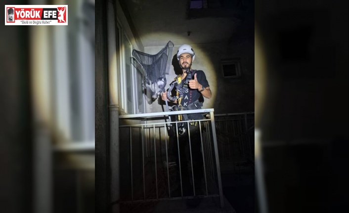 Apartman boşluğunda mahsur kalan yavru kedi kurtarıldı