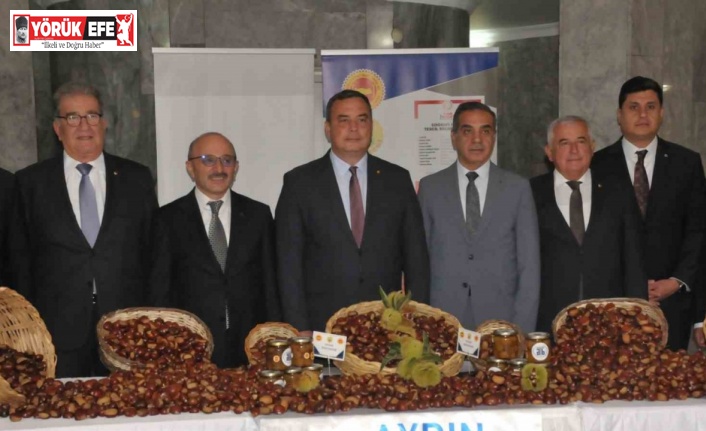 Aydın’da sezonun ilk kestanesi kilosu 550 TL’den alındı