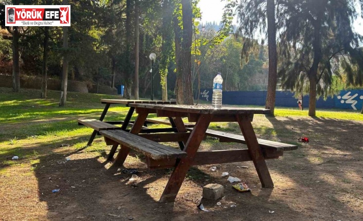 Bir zamanların en çok tercih edilen bölgesi çöplüğe döndü