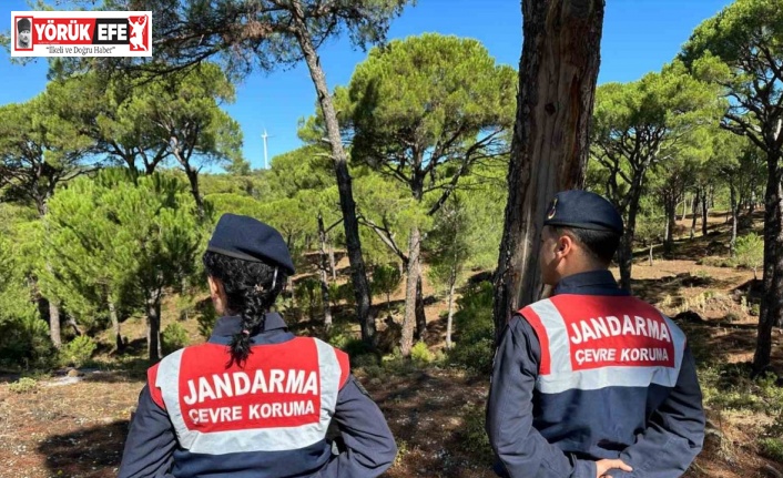 Bu çiçeği koparana 557 bin TL ceza