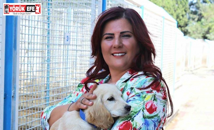 Büyükşehir’den sokak hayvanları için 244 bin metrekarelik yaşam alanı