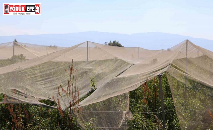 Çiftçilerin doğal sigortası file sistemi oldu