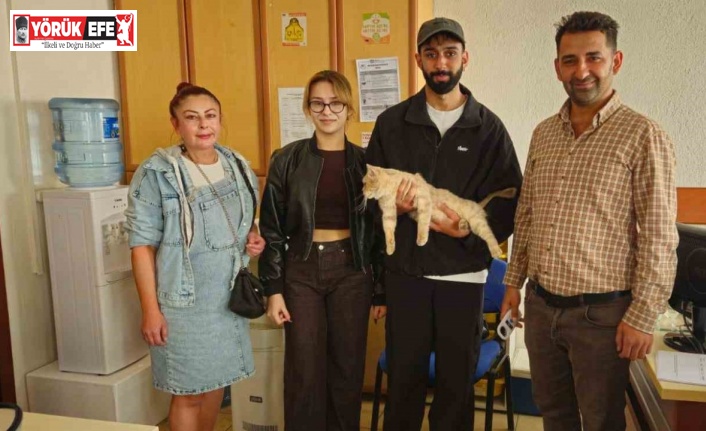 Çip sayesinde kayıp kedi kısa sürede sahibine kavuştu