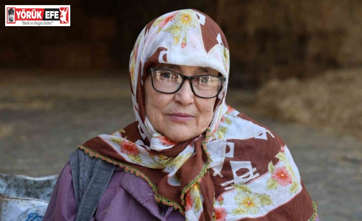 Dursun nine doktor tavsiyesi ile çalışıyor