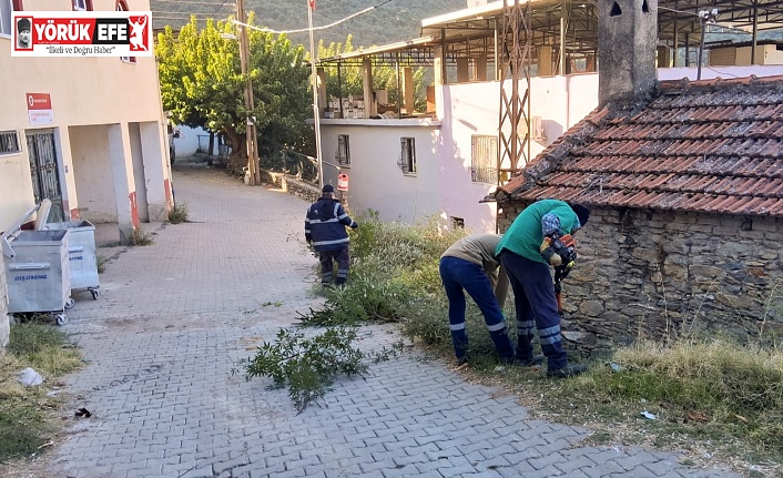 Efeler’in Ekiplerinden Ortak Temizlik Çalışması