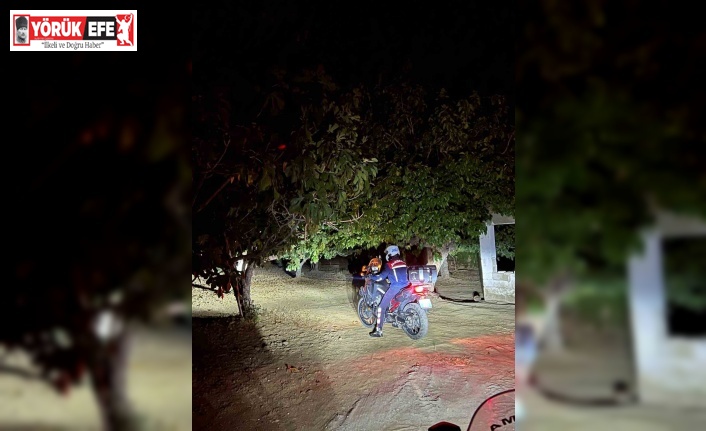 Germencik’te jandarma incir hırsızlıklarını önlemek için sahada