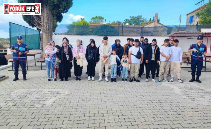 Göçmen kaçakçısı, jandarmadan kaçamadı: 1 gözaltı