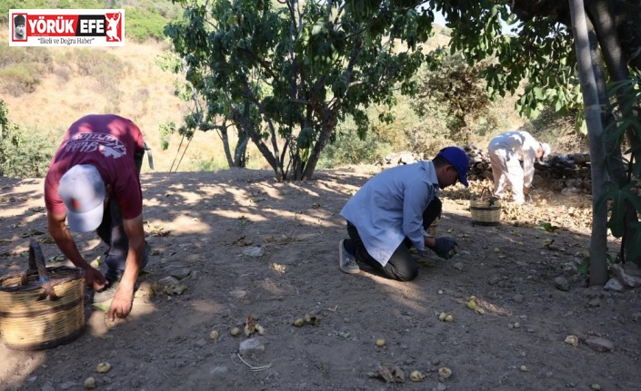 İncir üreticisi Aydın Ziraat Odası Başkanı Kendirlioğlu’na ateş püskürdü