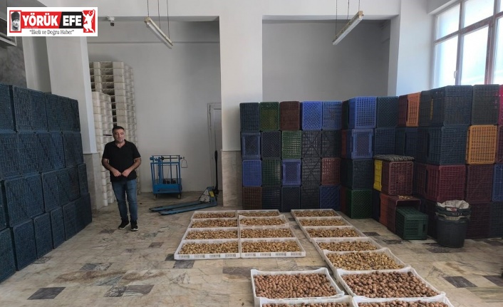 Köşk’te kuru incir depolarına sıkı denetim