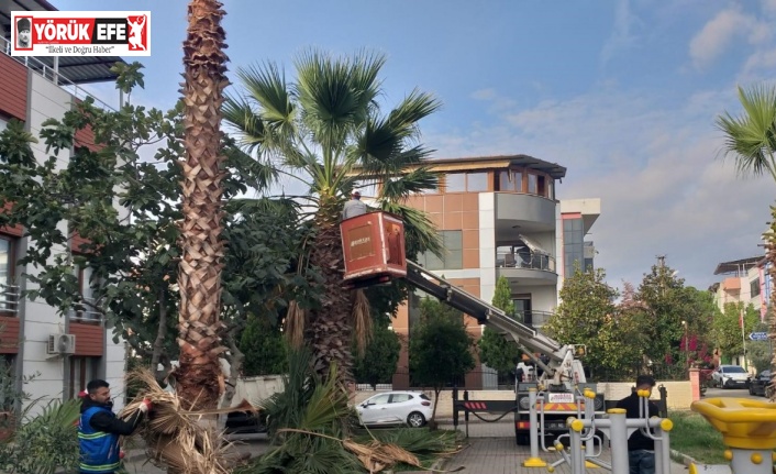 Nazilli Belediyesi’nden 12 mahallede eş zamanlı çalışma