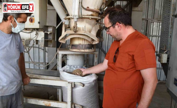 Söke Belediyesi’nden sokak hayvanları için örnek çalışma