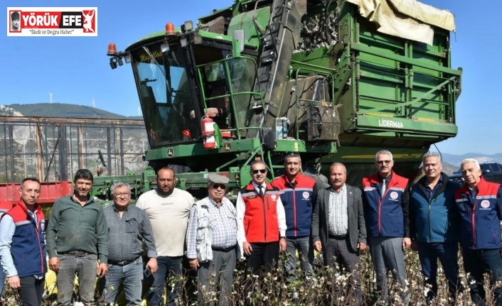 Söke Ovası’nda pamuk hasadı sürüyor