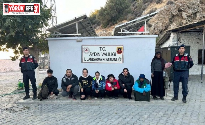 Türkiye’ye yasadışı yollarla giriş yapan 8 düzensiz göçmen yakalandı