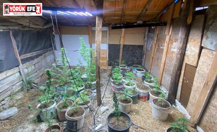 Zahir tacirlerinin kurduğu sistemi jandarma bozdu