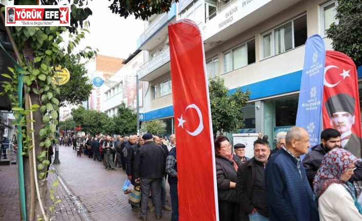 Aydın Büyükşehir, binlerce fideyi Nazilli’de vatandaşlara dağıttı