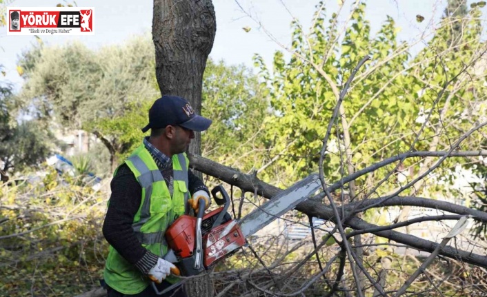 Aydın Büyükşehir Kemer Mahallesi’nde budama ve temizlik çalışması gerçekleştirdi