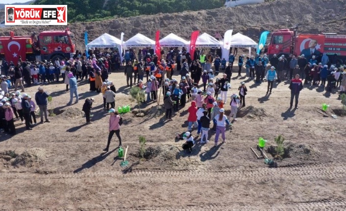 Aydın’da yarın binlerce fidan toprakla buluşacak