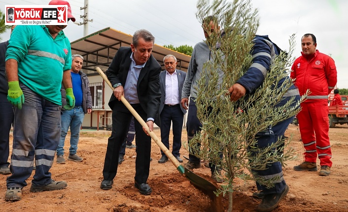 Başkan Yetişkin’den Efeler’e Yeşil Dokunuş