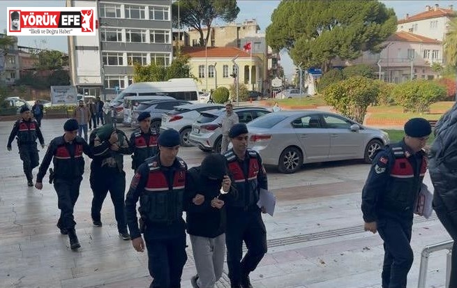 Beş kasa zeytin çaldılar, yakalandılar