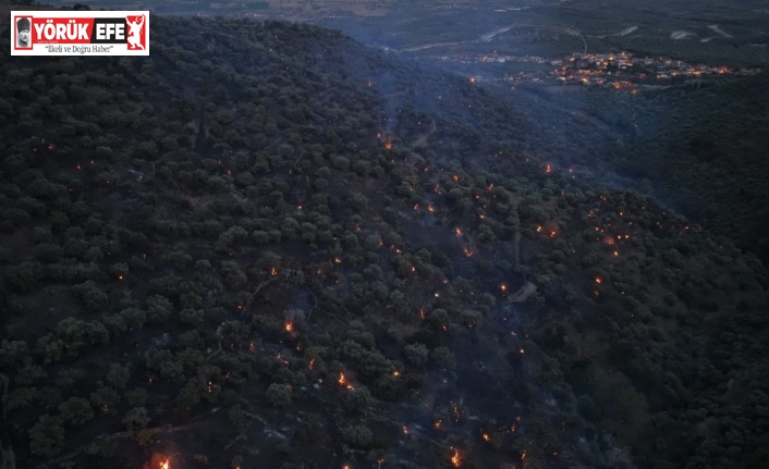 Bozdoğan yangını büyük ölçüde kontrol altına alındı