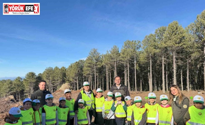 Çineli öğrencilere orman faaliyetleri anlatıldı