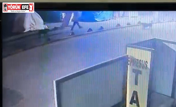 Kendisine saldıran sokak köpeğini vuran emekli astsubay serbest bırakıldı