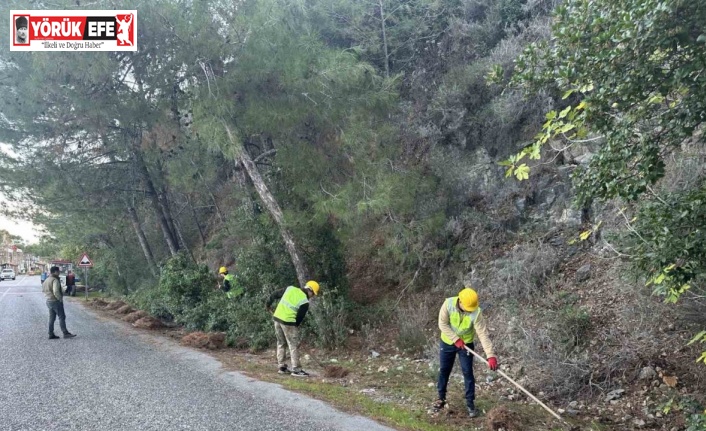 Milli Park’ta risk azaltma çalışmaları sürüyor