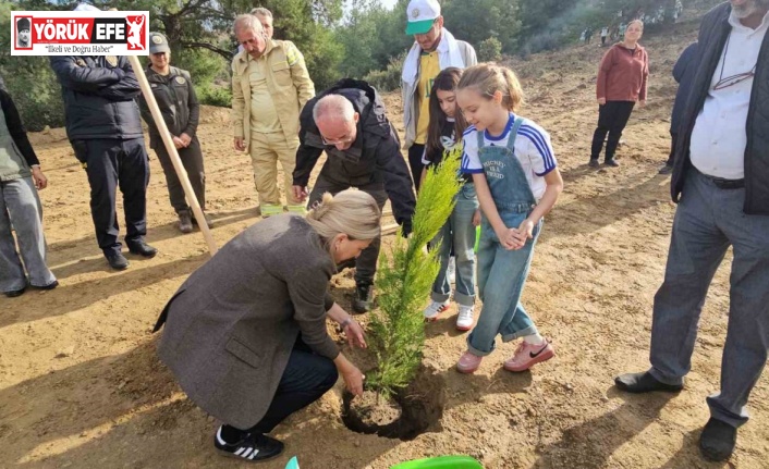 Önce öğrendiler sonra fidanları diktiler