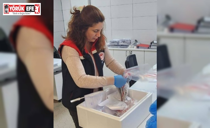 Söke’den ihraç edilecek balıklara analiz