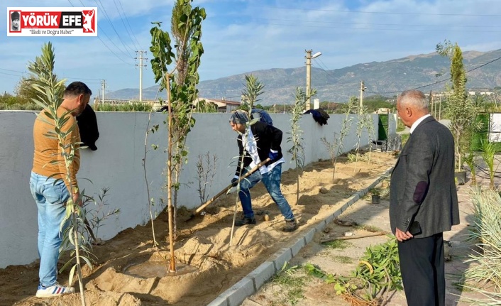 Sultanhisar’da can dostları için yeşil dokunuş