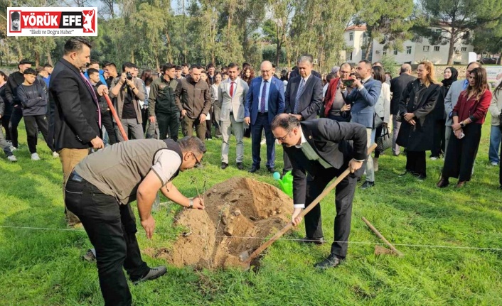 Sultanhisar’da fidanlar toprakla buluştu