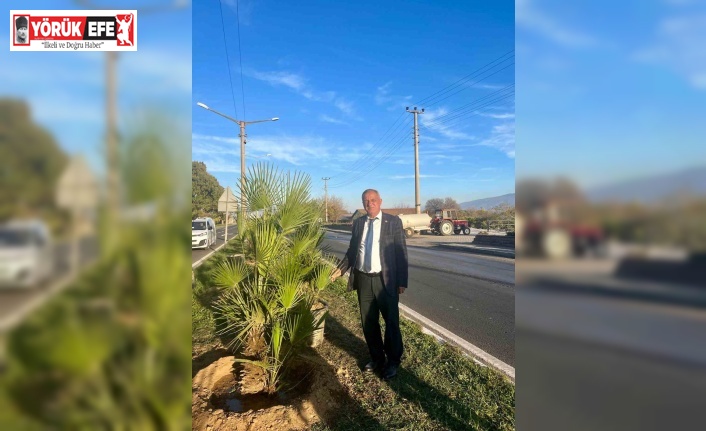 Yeşil Sultanhisar için ağaçlandırma çalışmaları sürüyor