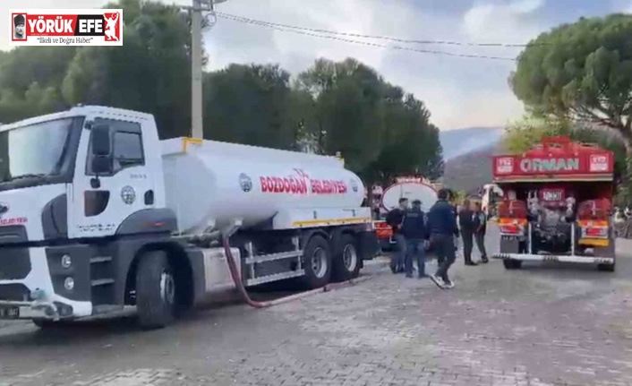 Ziraat alanında başlayan yangın ormana sıçradı