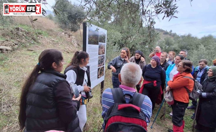 Aydın Büyükşehir’in doğa yürüyüşleri devam ediyor
