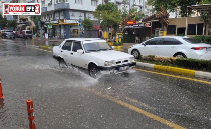 Aydın’da hafta sonu yağışlı hava sevindirdi