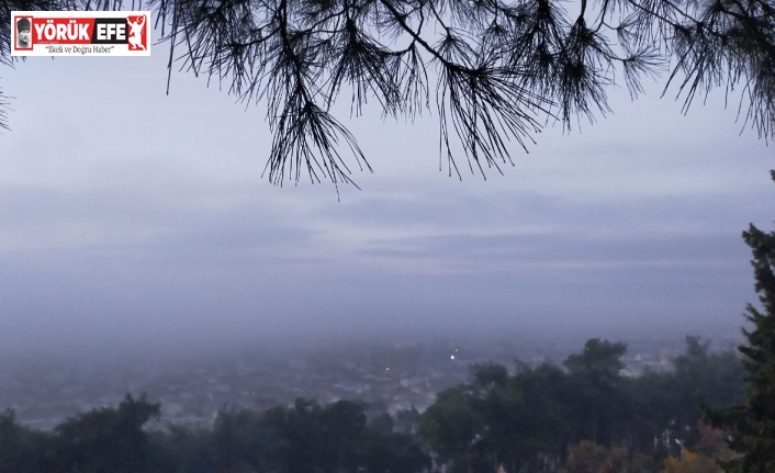 Aydın’da puslu sabah manzaraları mest etti