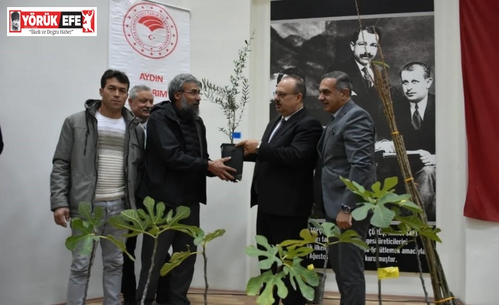 Aydın’da üreticilere 74 bin 90 fide dağıtılacak