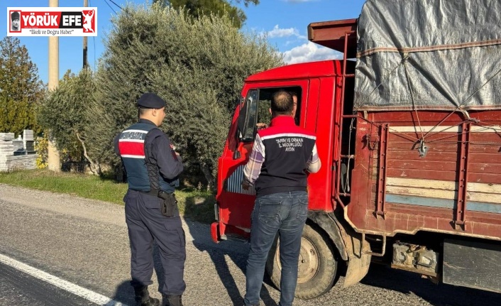 Bozdoğan’da ilçe tarım ve jandarmadan yol denetimi