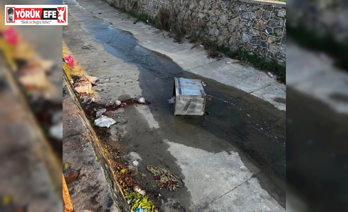 Çöp konteynerleri ilçe kanalına atıldı, belediye hukuki süreç başlatacak