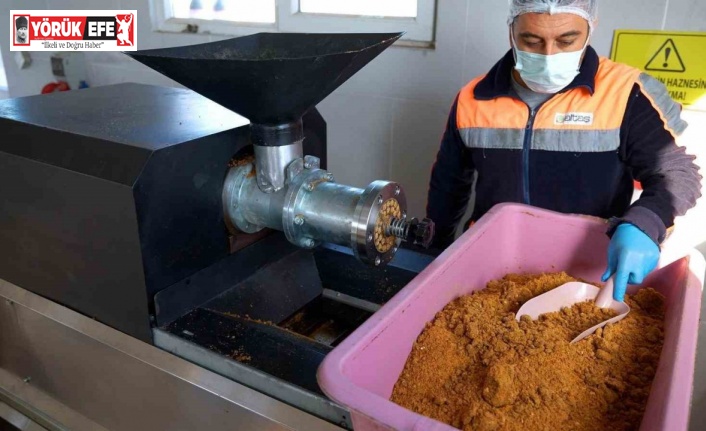 Didim’de her geri dönüşüm, can dostlara umut olacak