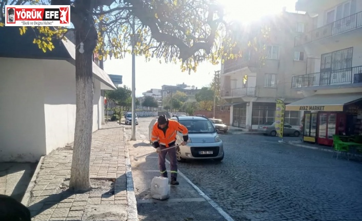 Germencik’te kireçleme ve ağaç budama çalışması